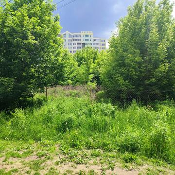 Марії Заньковецької