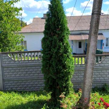 Продам квартиру, РАХНИ - ЛІСОВІ