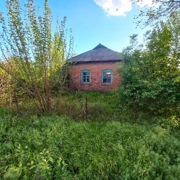 Будинок в центрі села