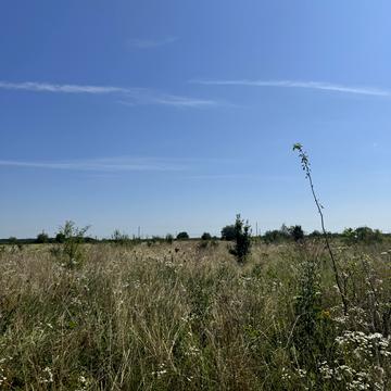 Тисменичани, Івано-Франківський, Івано-Франківська область 19000.0 USD