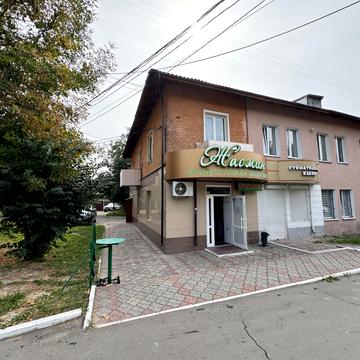 Василя Червонія вул. (Гагаріна), 10