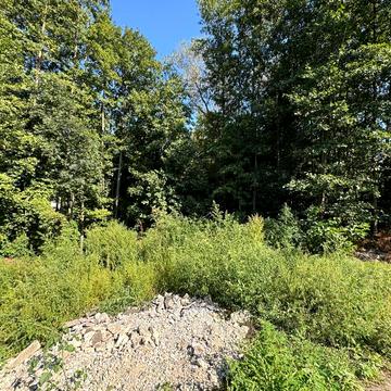 Ірпінь, Бучанський, Київська область 52000.0 USD