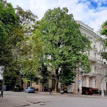 Садова вул., 9
