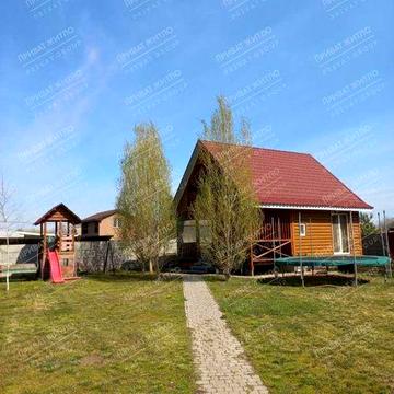 Дача в Лісових Полянах серед сосен