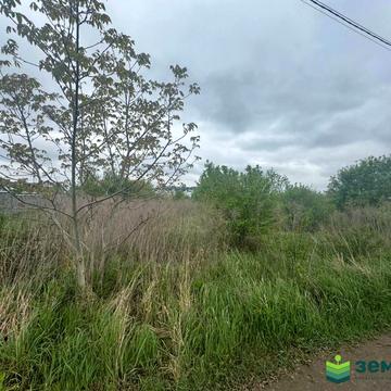 Довбуша вул.