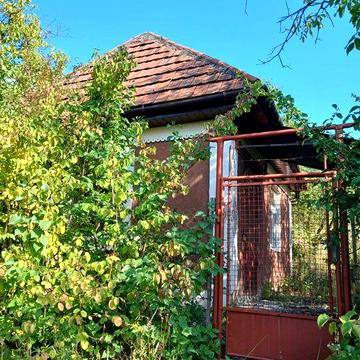 Дача біля термального басейну в Берегові з садовою ділянкою 6.5 соток