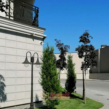 Дача Ковалевського вулиця, 91, Київський район, Одеса, Одеська область 66400.0 USD