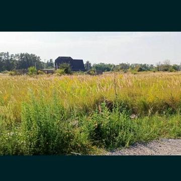 Святопетрівське, Бучанський, Київська область 39800.0 USD