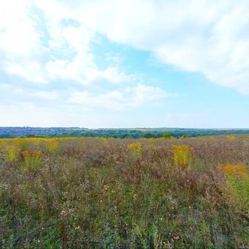 СТ Грузевицький-1