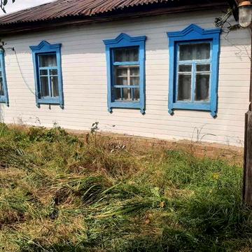 Любимівка,  деревяний будинок 78 кв.м. Поруч дубовий гай