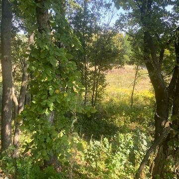 Молодіжний провулок