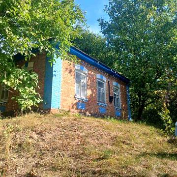 Продається будинок в селі Луки