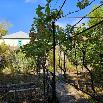 Львівська вул., 24