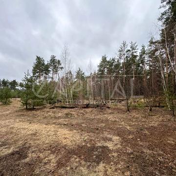 Креничі, Обухівський, Київська область 20000.0 USD