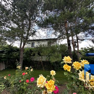 Орлина вул.