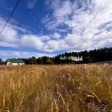 Бабинці, Бучанський, Київська область 8500.0 USD