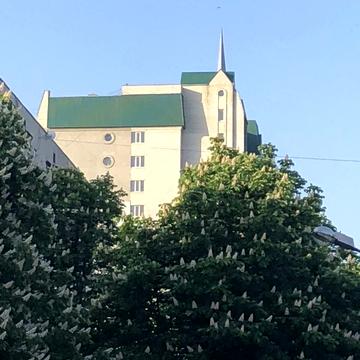 Академіка Павлова вул., 144