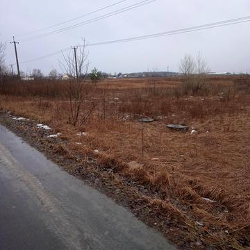 Велика Димерка, Броварський, Київська область 55000.0 USD