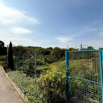 Кленова вул.