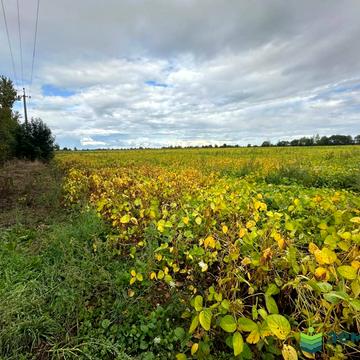 Цуцилів, Надвірнянський, Івано-Франківська область 81000.0 USD