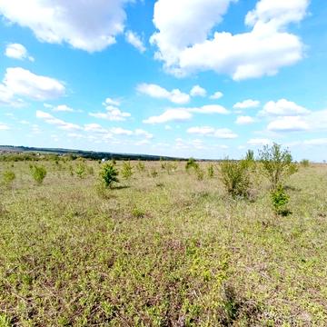 біля Царського озера