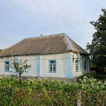 Шевченка