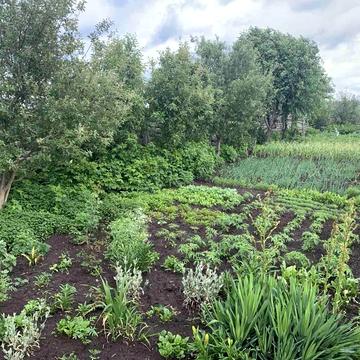 6-та Лінія вул.