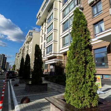 Тиводара Легоцького вул., 80