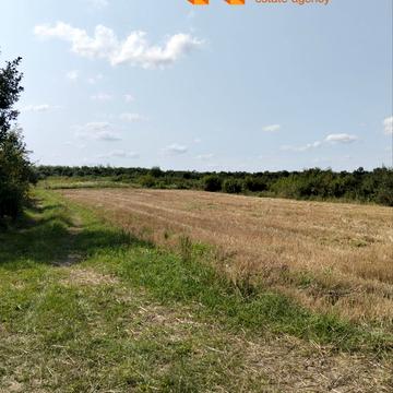 урочище Підгора