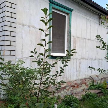 Брюссельська вул.