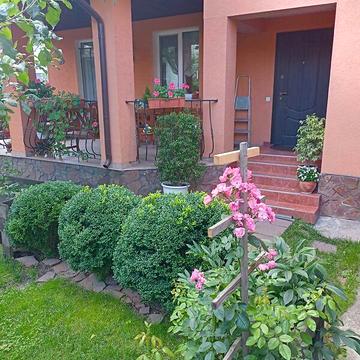 Продаж 5к Дім Стеценка вулиця
