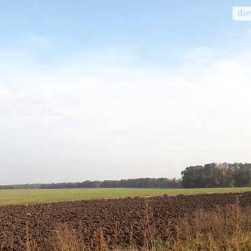 Продаж 4к Дім Полтавська