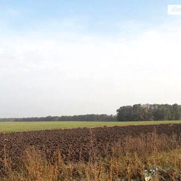 Продаж 4к Дім Полтавська