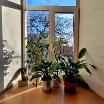 Святослава Караванського вул. (Жуковського), 36