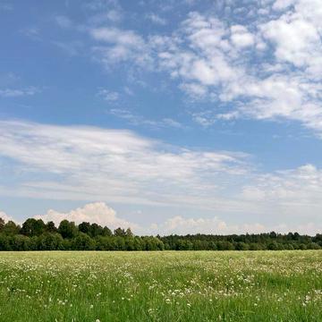 Генерала Трейка