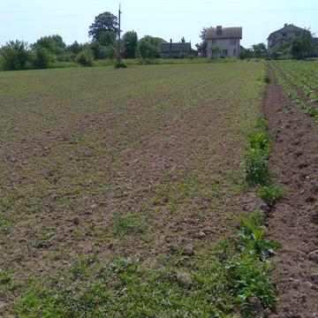 Радча, Івано-Франківський, Івано-Франківська область 6400.0 USD