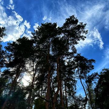 Лозівок, Черкаський, Черкаська область 85000.0 USD