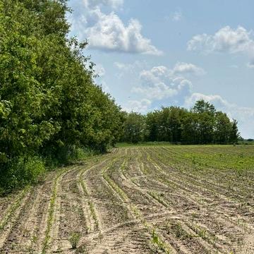 Северинівка, Бучанський, Київська область 540000.0 USD