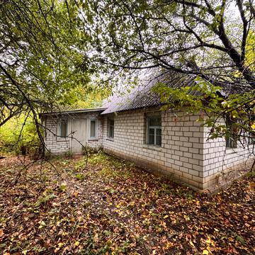 Механизмізаторів