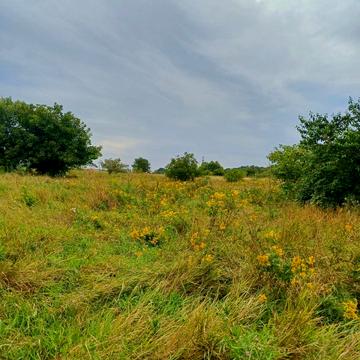 Набережна вул., 22