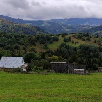 Плоский 1, 186