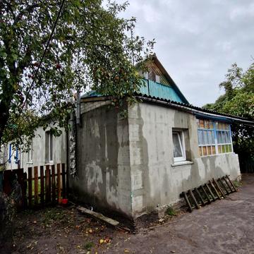 Сосновий, 7