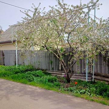 Чорноморка-2, Лиманка, Одеський, Одеська область 100000.0 USD