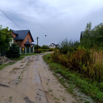 І . Білозіра