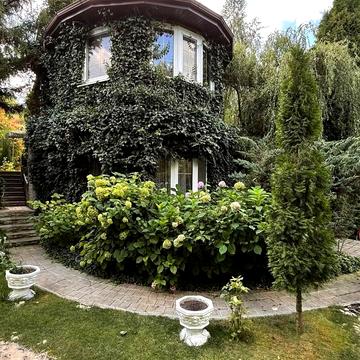 Вишнева