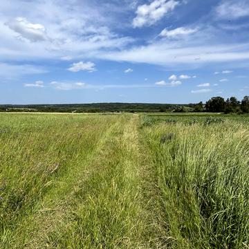 Бохоники, Вінницький, Вінницька область 32000.0 USD