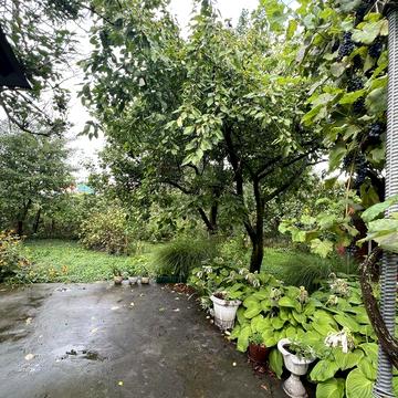 Здам в оренду будинок район Токіо