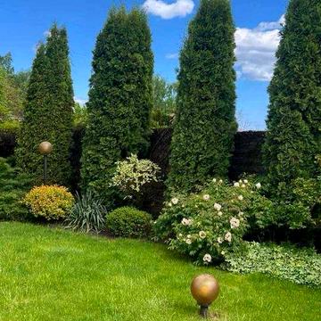 Будинок здається в оренду