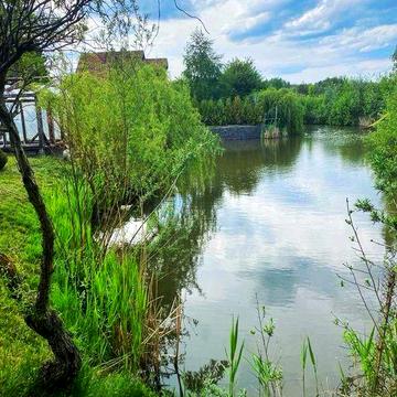 Будинок здається в оренду