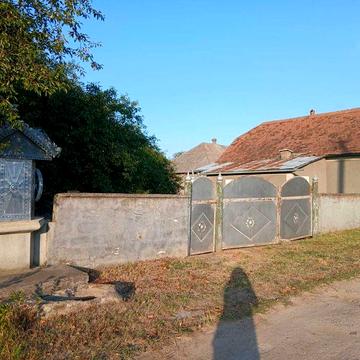 Велике господарство в селі Малинці